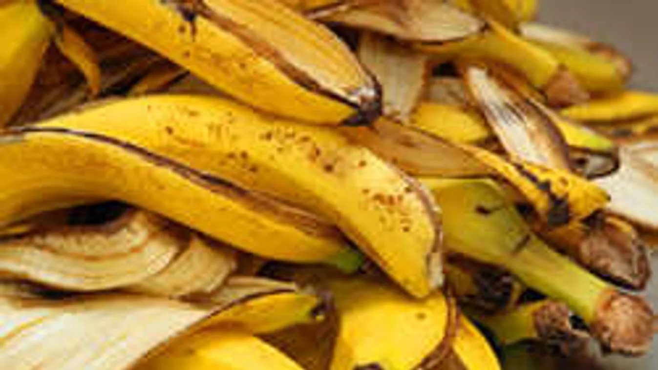 Ki ne dobd a banánhéjat, csodákat tesz a növényeiddel