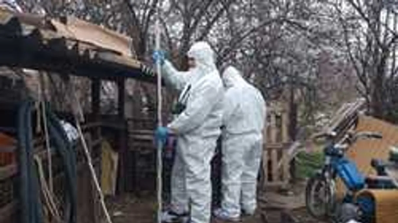 Megfojtotta újszülöttjét egy fiatal nő