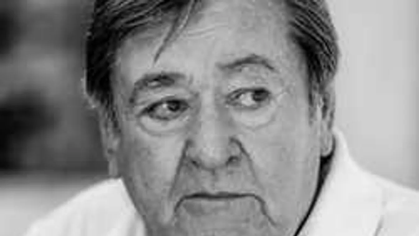 Megrázó vallomást tett Koós János özvegye