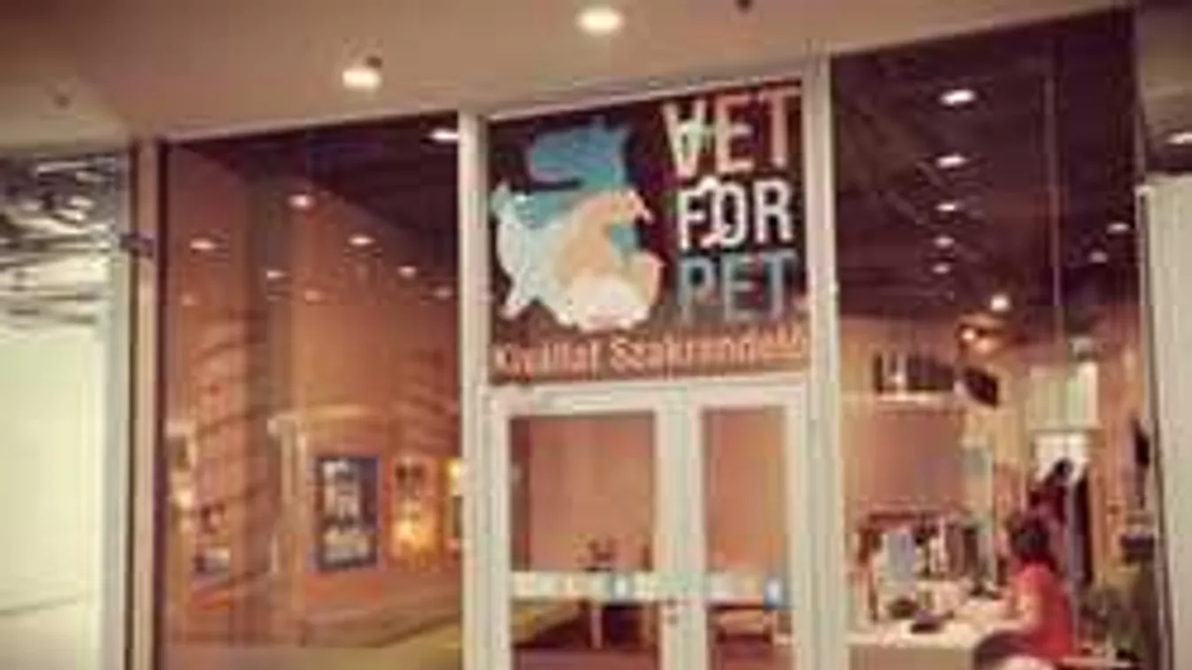 Hiánypótló állatkórház épült Budapesten