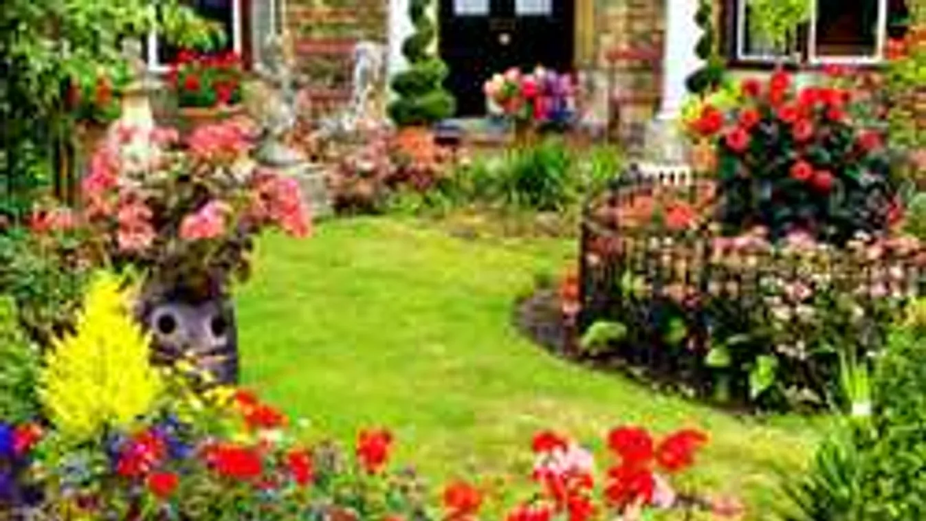 Szórj szódabikarbónát a kertedbe, bámulatos lesz a hatás!