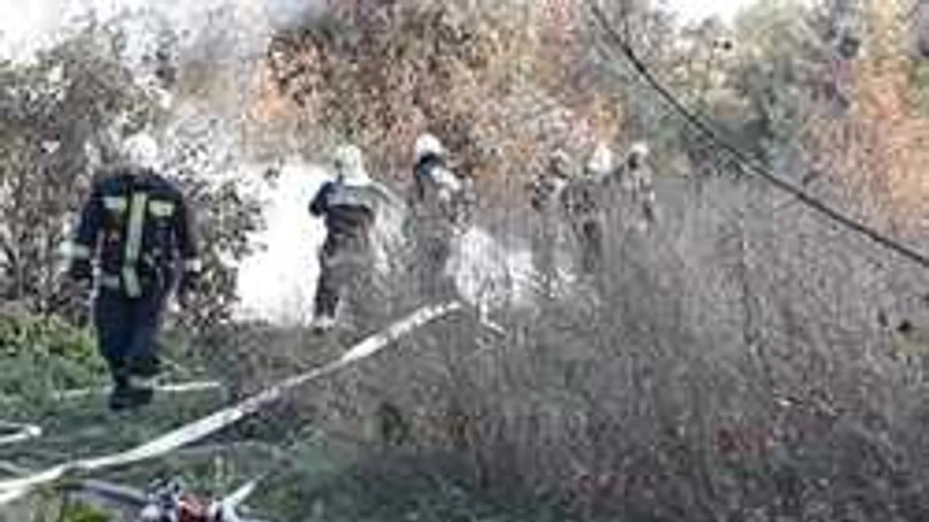 Döbbenetes adatot közölt a Katasztrófavédelem a hazai tűzesetekről