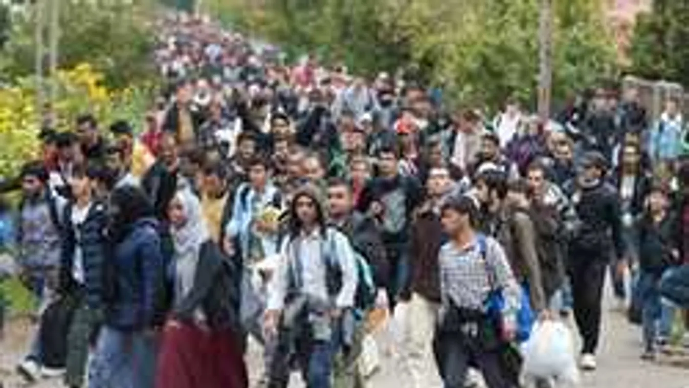 Bevándorlásellenes Közép-Európa polgársága