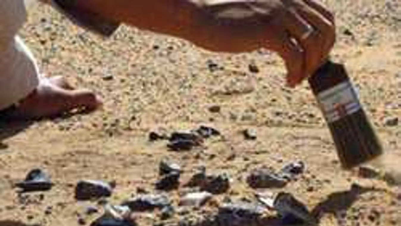 Most jelentették be a tudósok: hátborzongató leletre bukkantak Bácsbokodnál