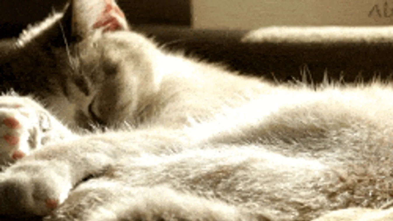 Nincs jó hírünk az időjárásról, ez rontja el a hétvégét