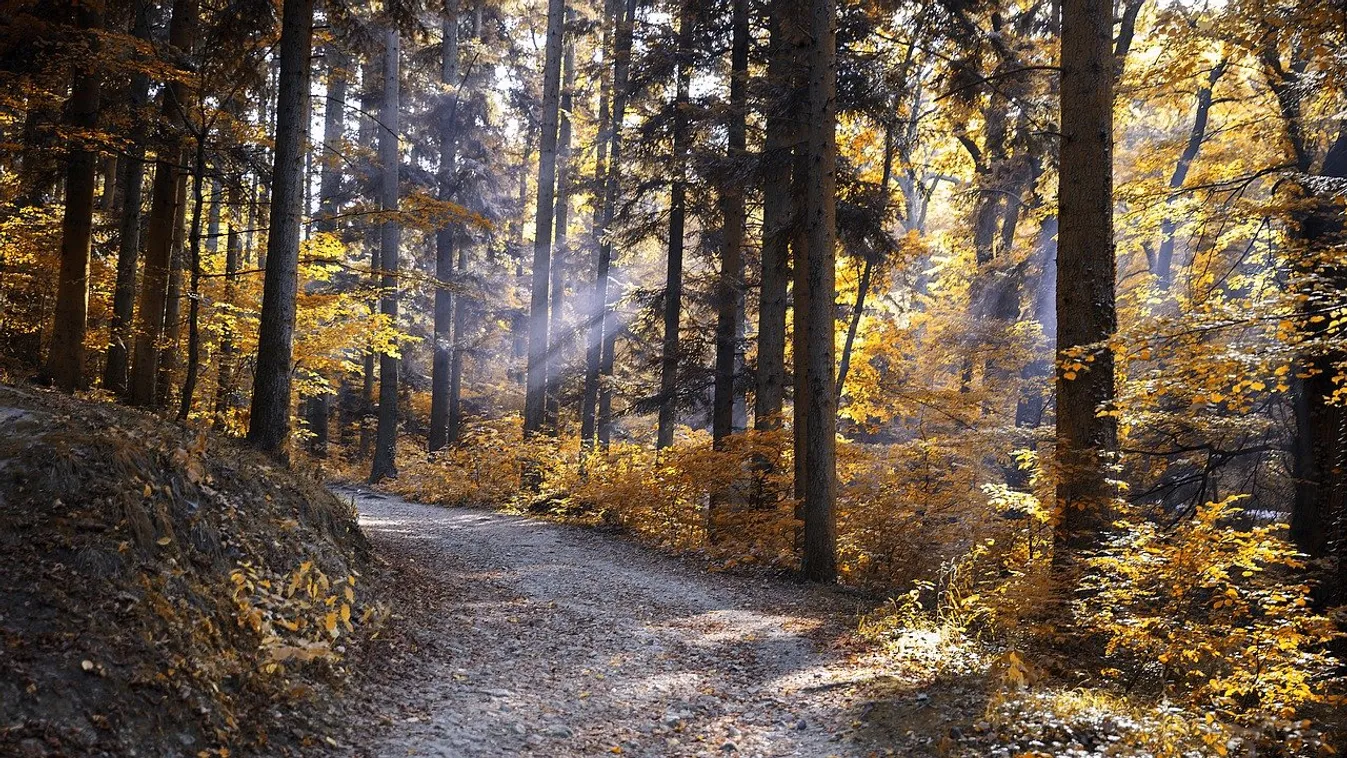 Ide látogasson el, aki gyermeket szeretne!