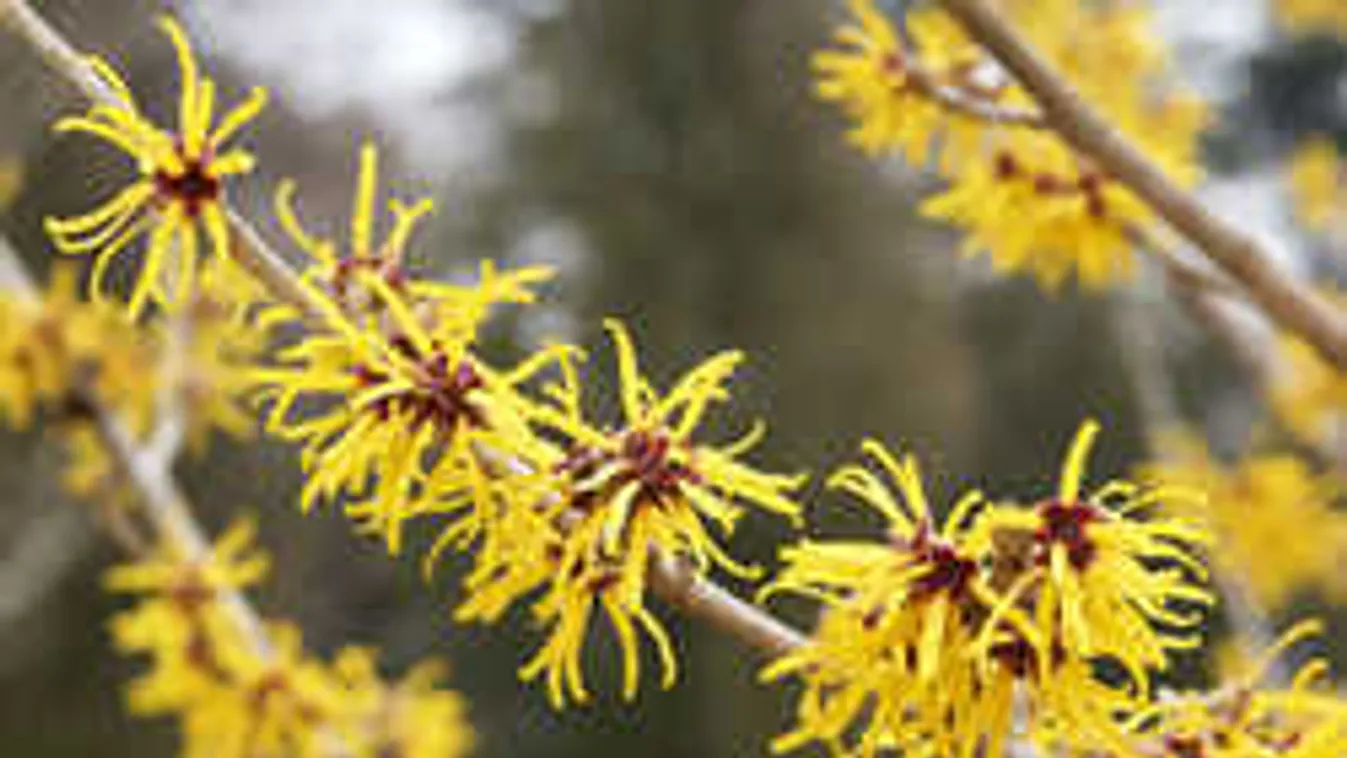 Így tüntesd el 10 perc alatt a szem alatti karikákat