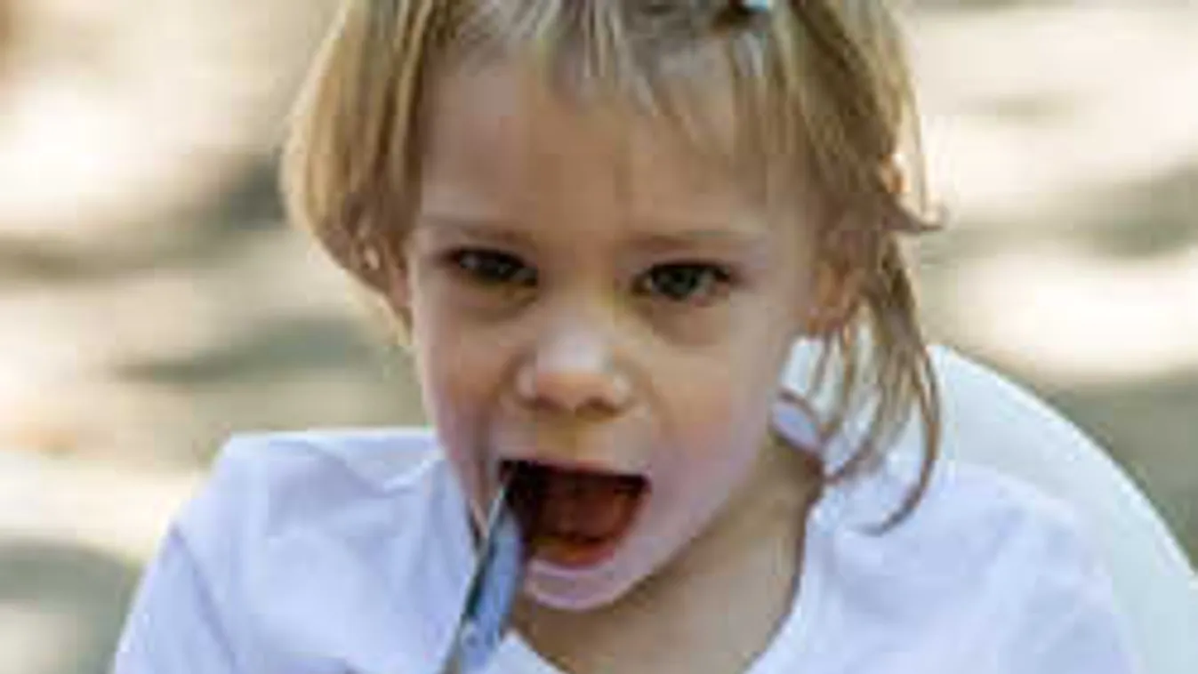 Elképesztő összefogás a nagybeteg magyar kislány gyógyulásáért