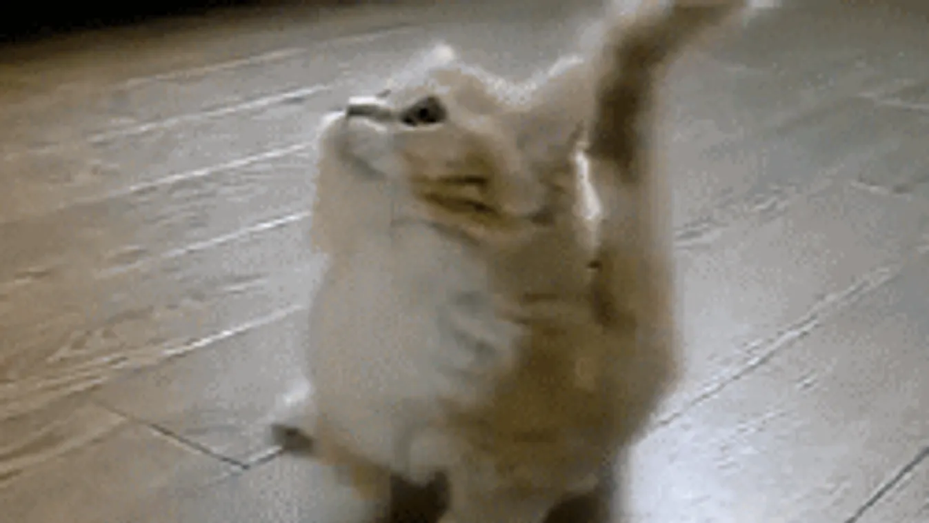 Viharos széllel érkezik az újabb lehűlés, mutatjuk, hol eshet az eső