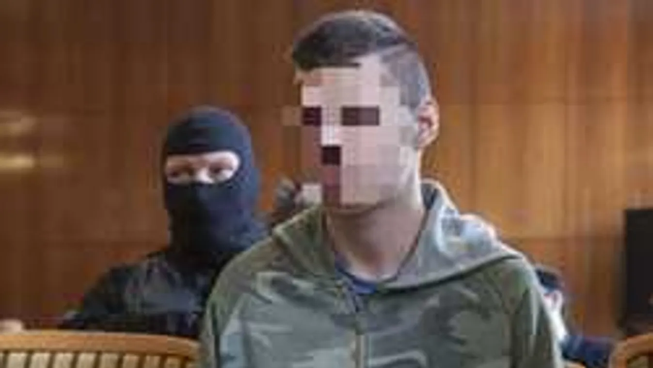 Brutális módon meggyilkolt két hajléktalant, évekig fog ülni a magyar fiú
