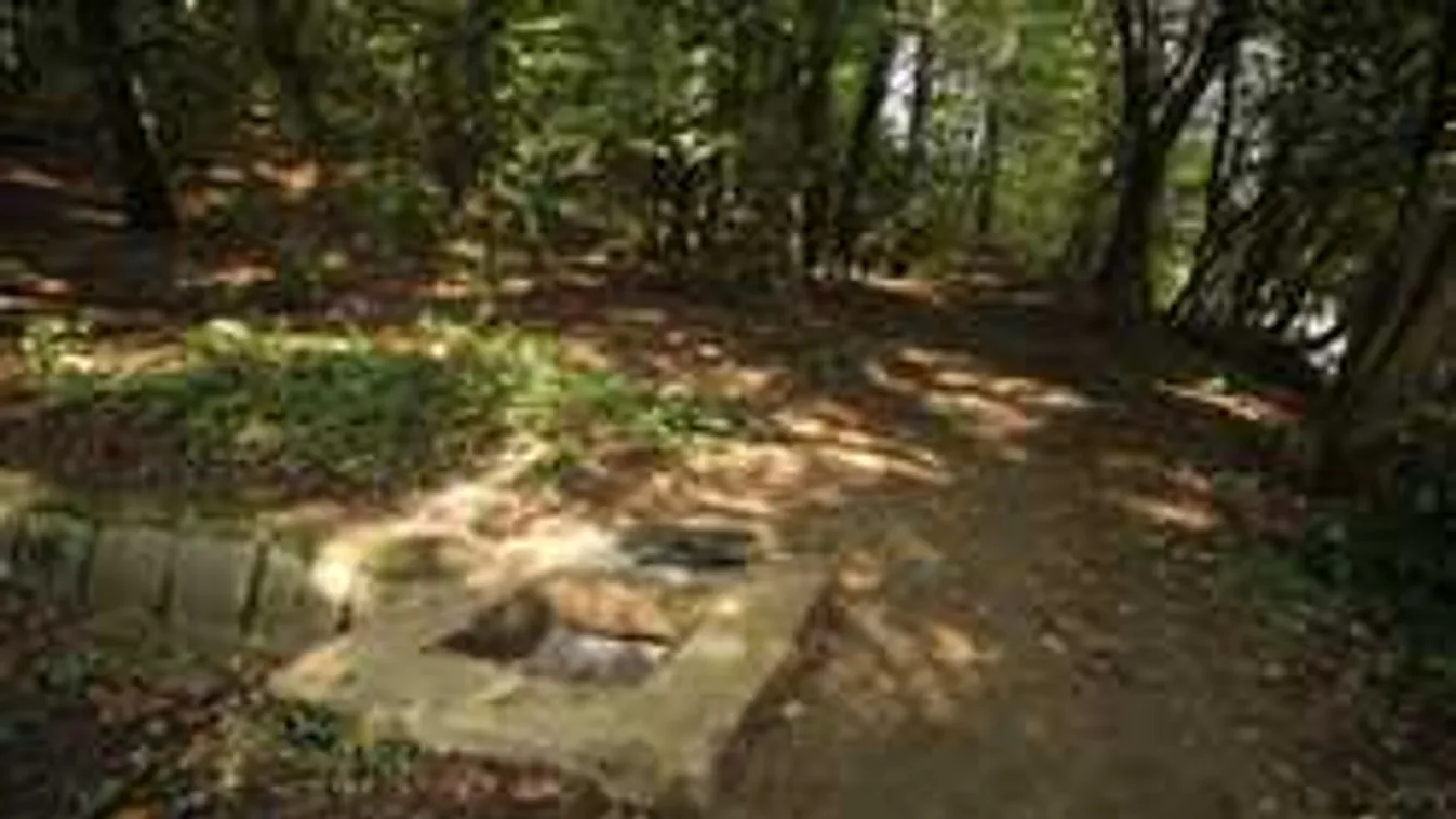 Döbbenet, ezt üzente a gyilkosság előtt Csenge az ózdi polgármesternek