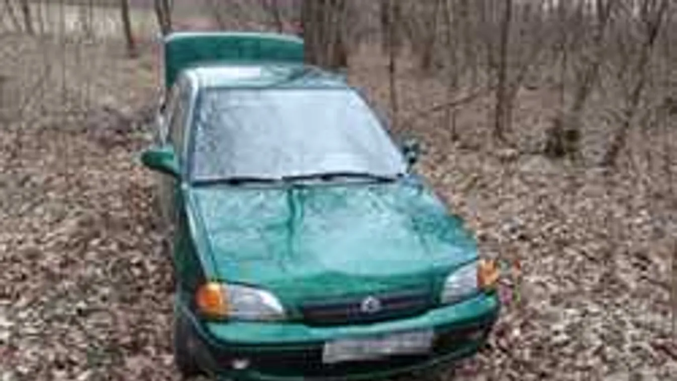 Több tízmillió forintot ért ez a csaknem 20 éves Suzuki - fotó