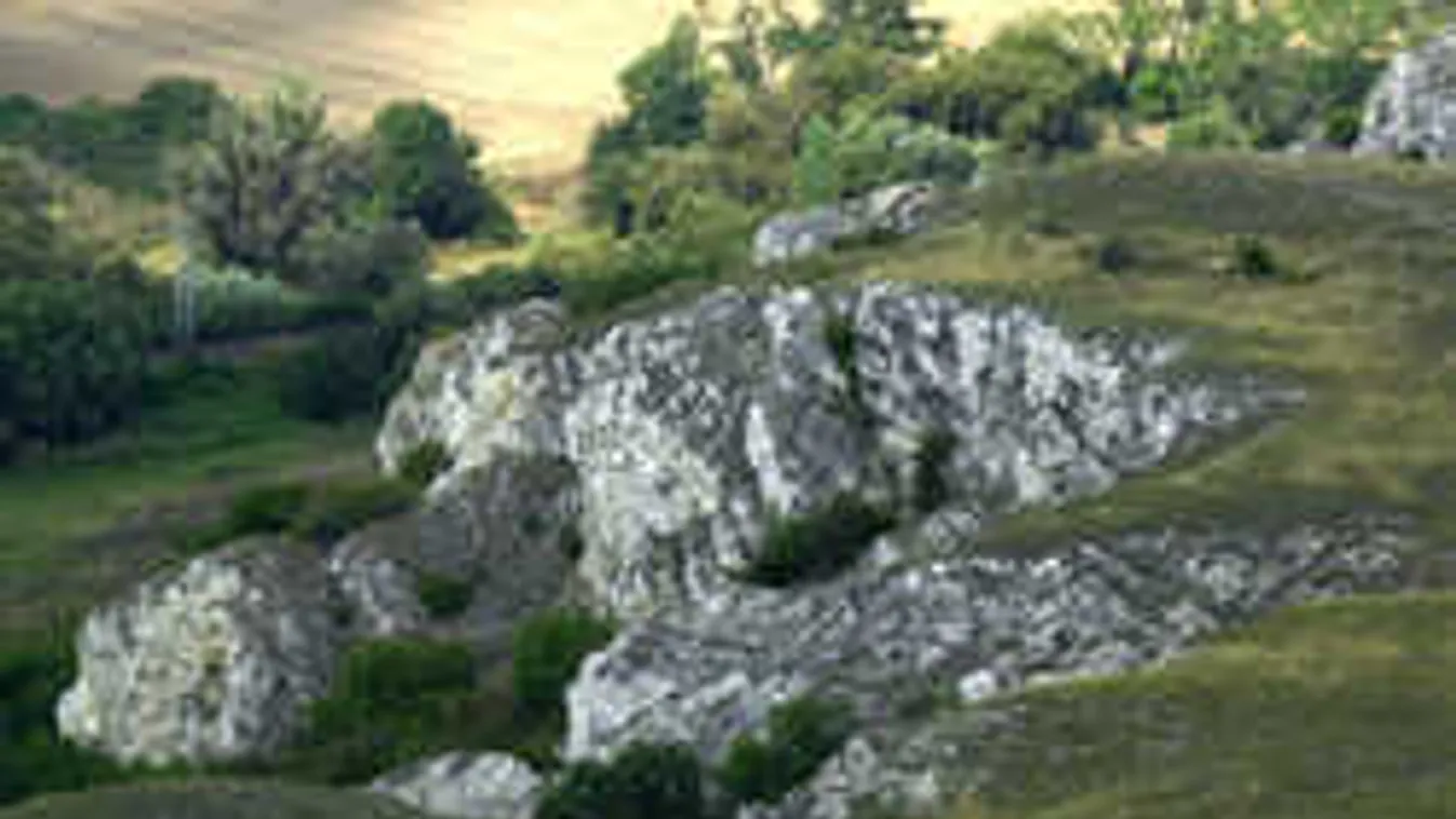 Ez történt egy családdal a sötét Bakonyban