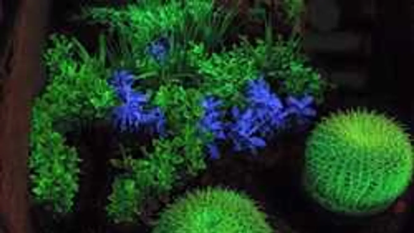 Ezen a mesebeli tájon járt két gyermekével Stohl