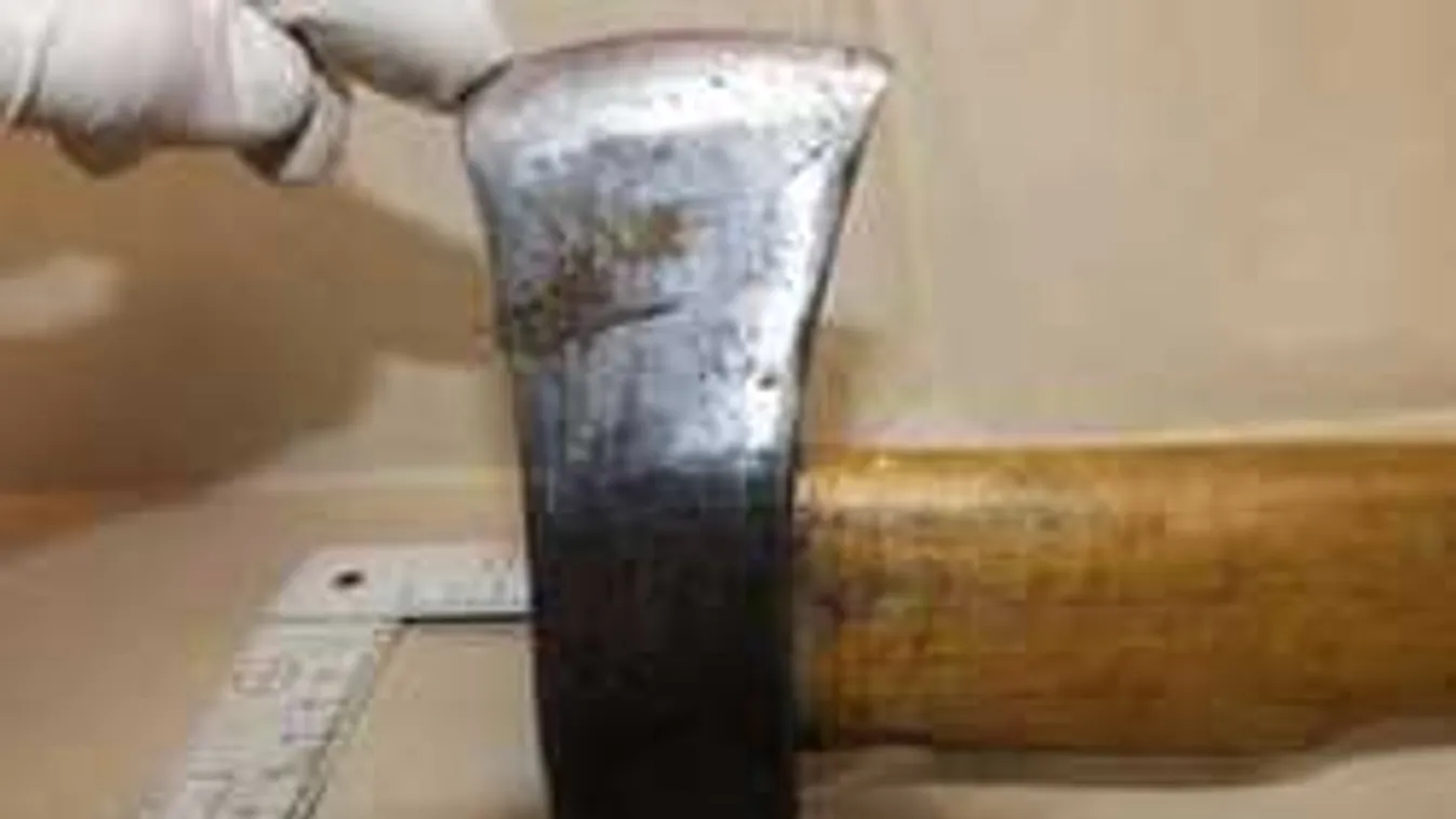 Baltával támadt alvó barátnőjére egy fehérvári férfi