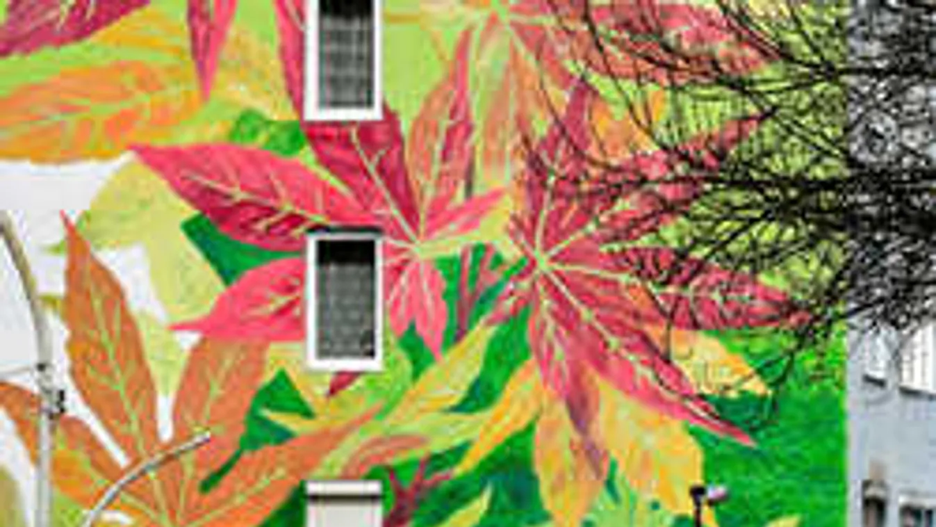 Elképesztő, mi lett ezekből a magyar panelházakból - itt te is laknál!