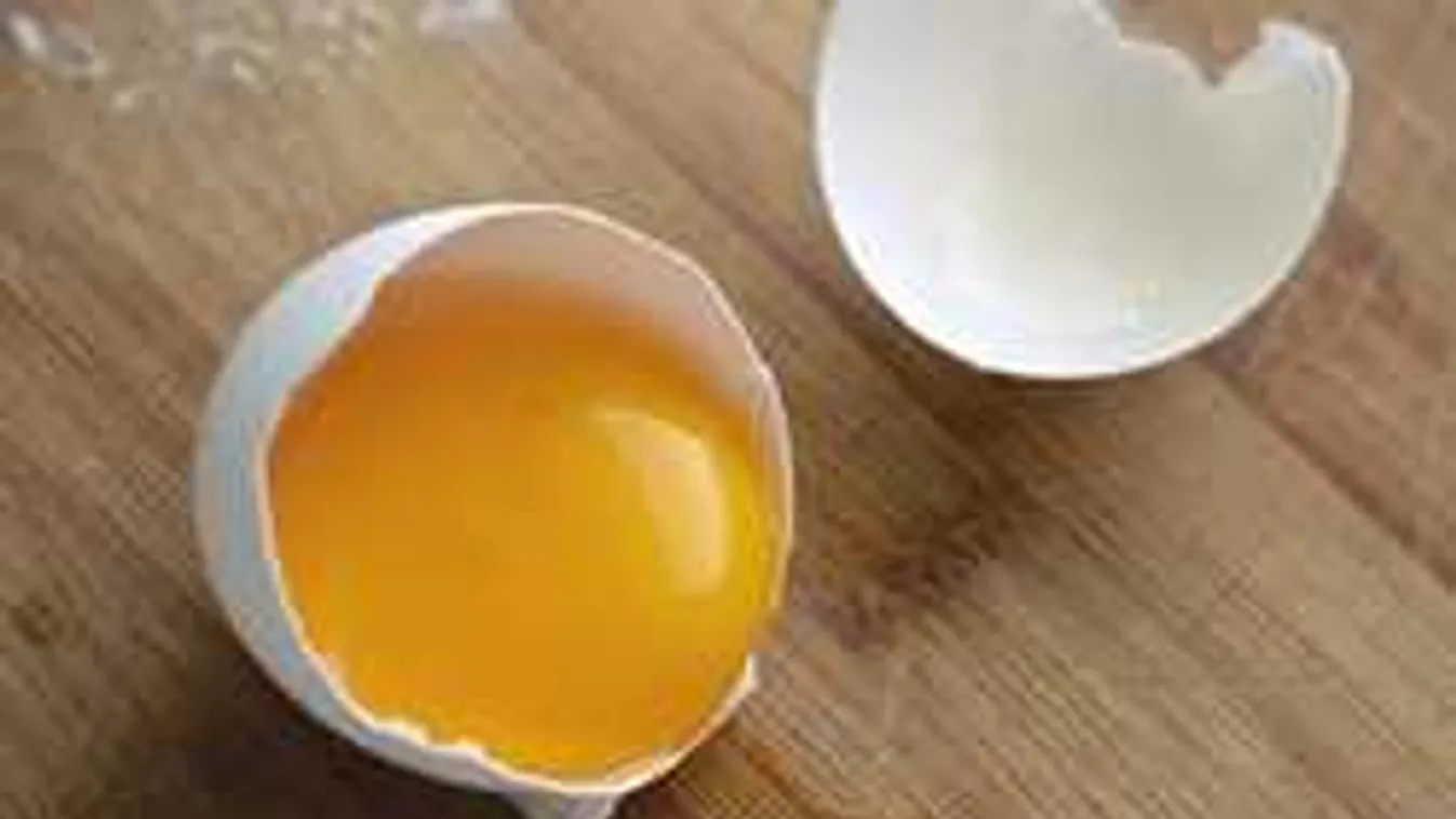 Óriási vita a tojás körül, összecsaptak az orvosok