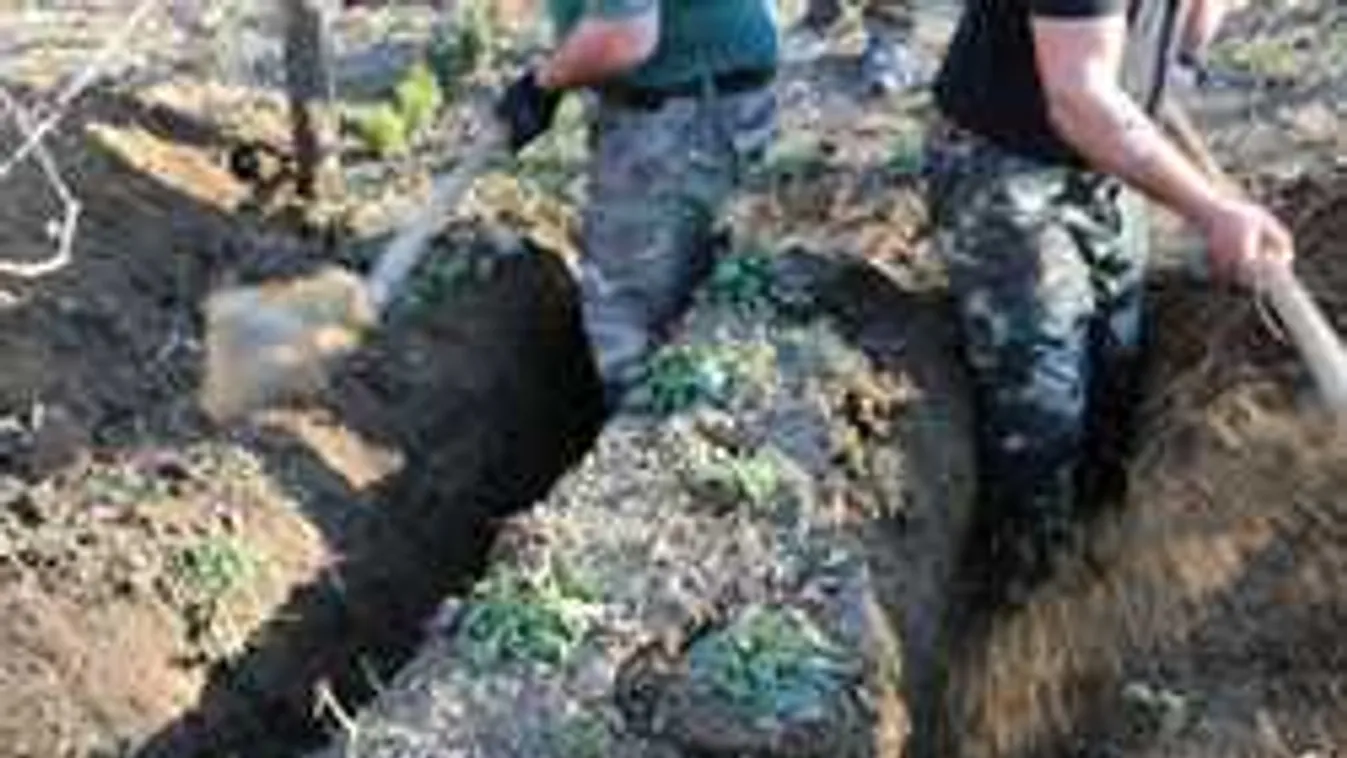 Gyanúsított lett az öreglaki ház kertjében eltemetett nő lánya