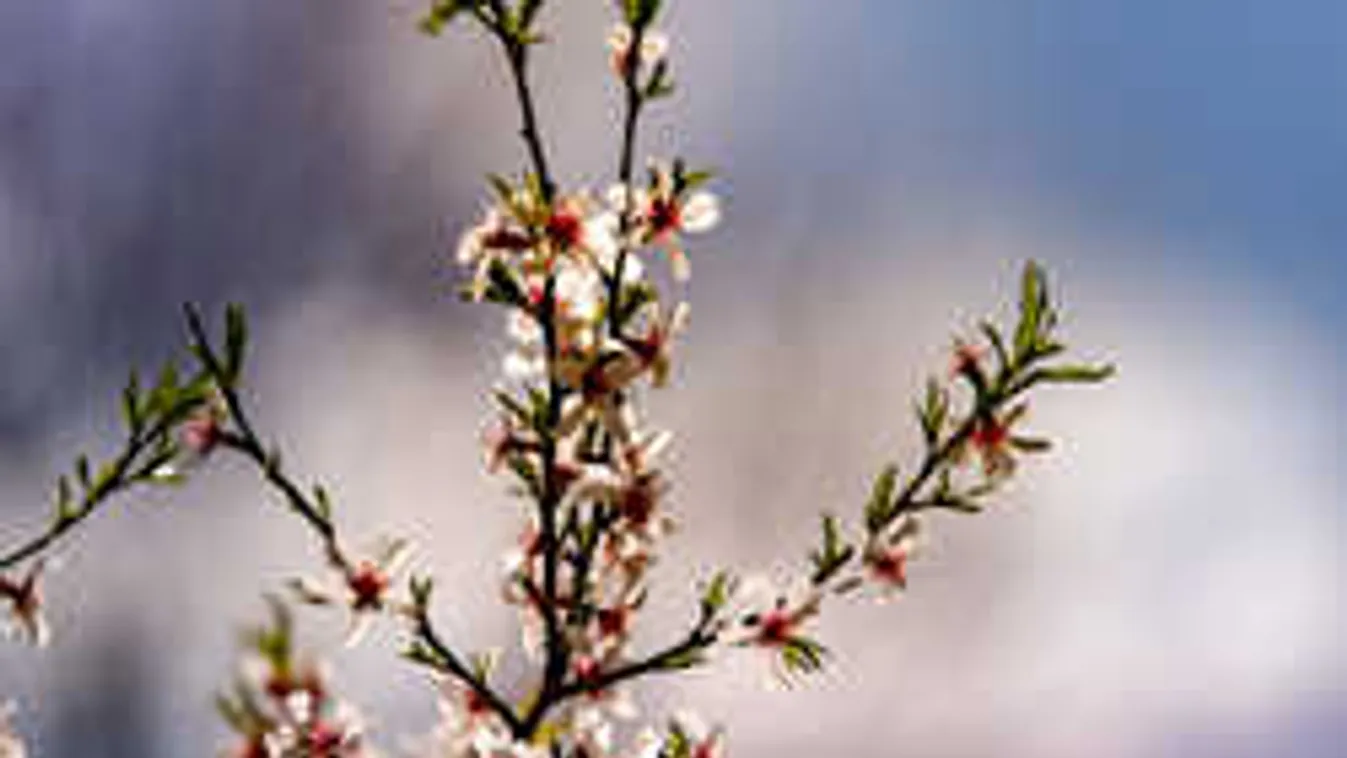 Erre nem számítottunk, ekkor tér vissza a hidegfronttal a fagy