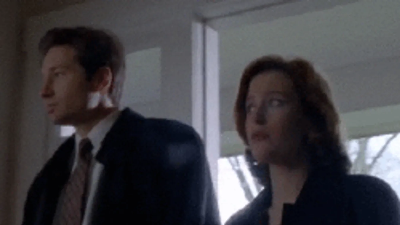 Az igazság odaát van: Rémisztő videó terjed a neten