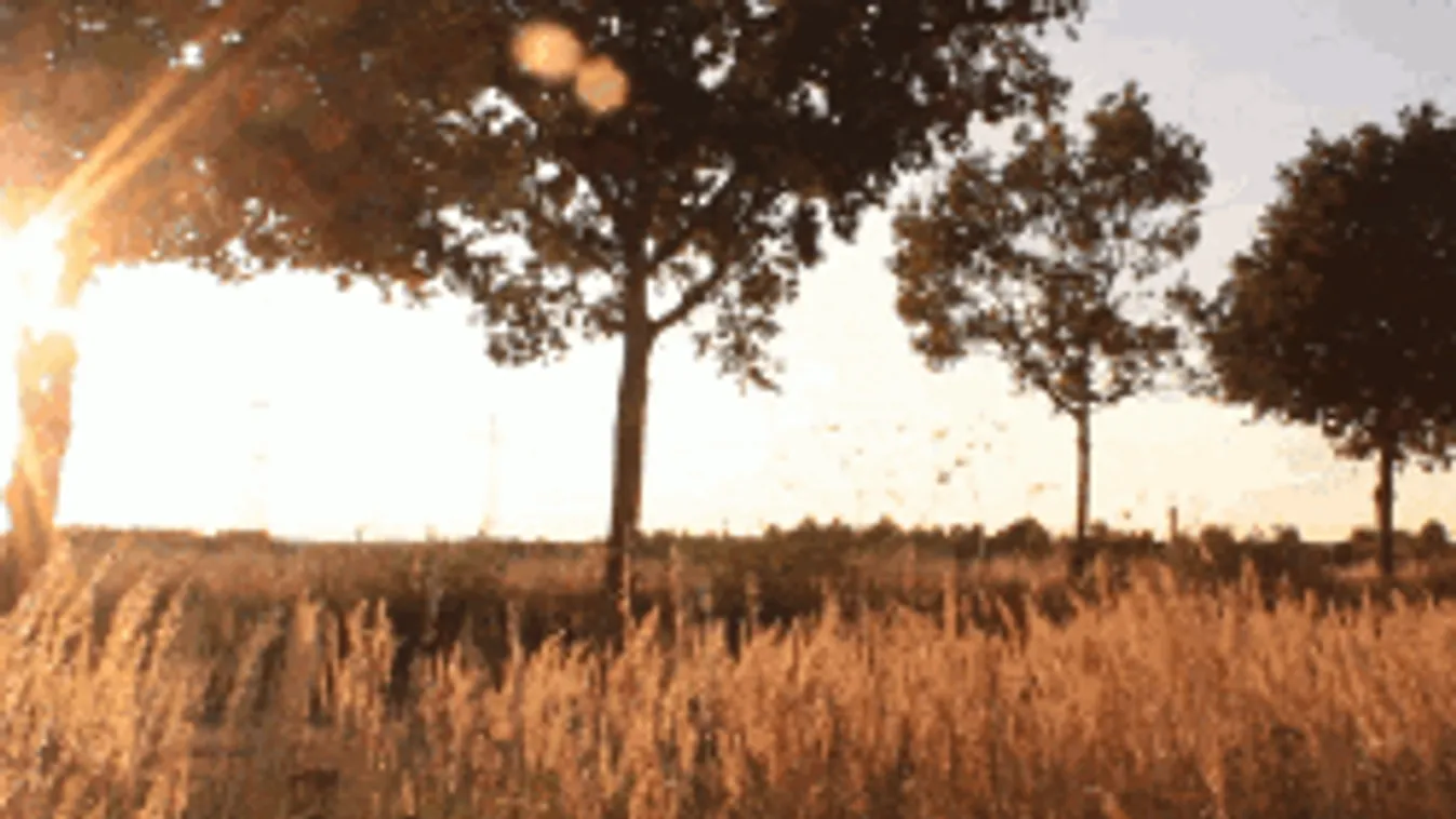 Mindenki erre várt, ilyen időjárásra számíthatsz vasárnap