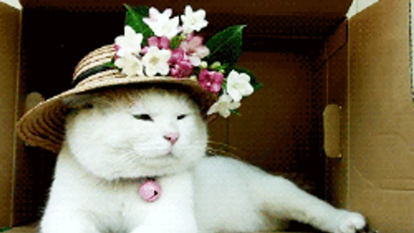 Csodálatos tavaszi idő lesz hétvégén, ez az apró dolog rontja el