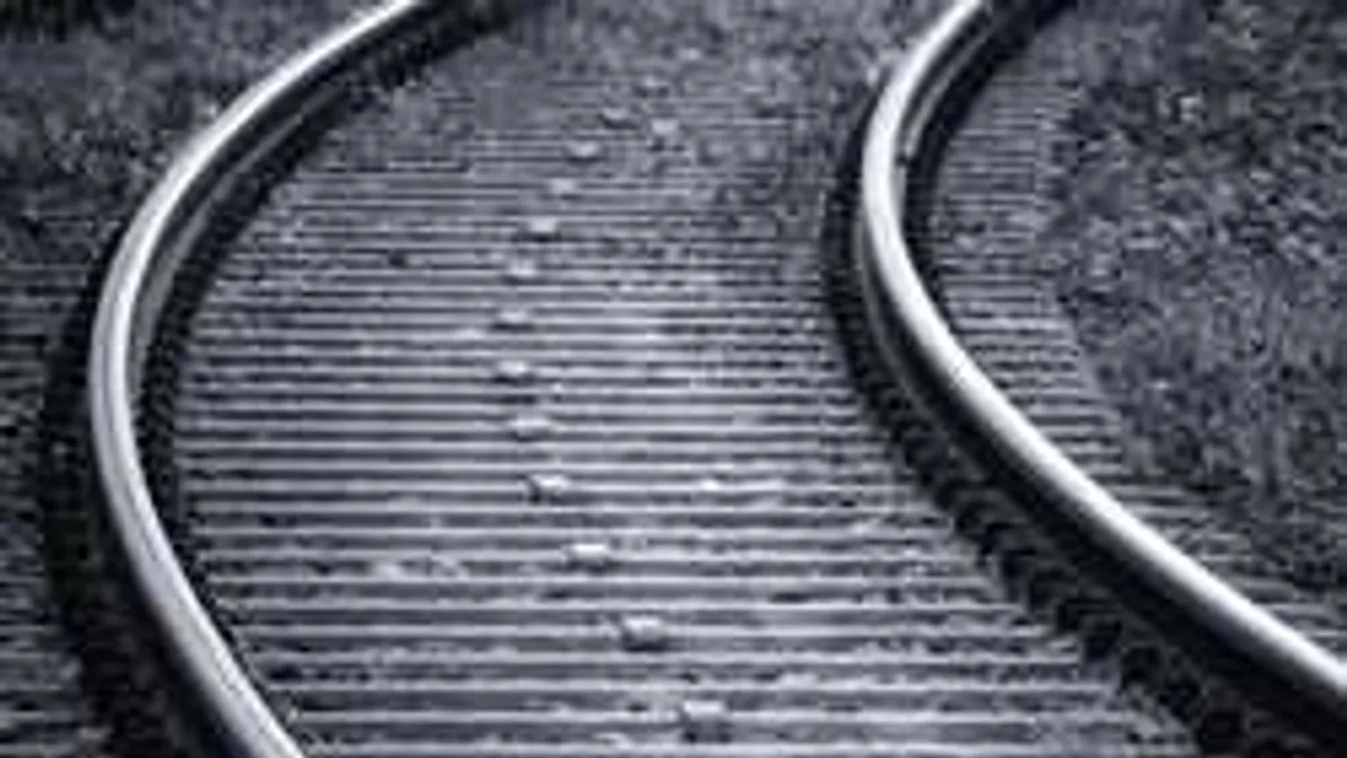 Lecsapott az országra a vihar, közlekedési káosz a kidőlt fák miatt