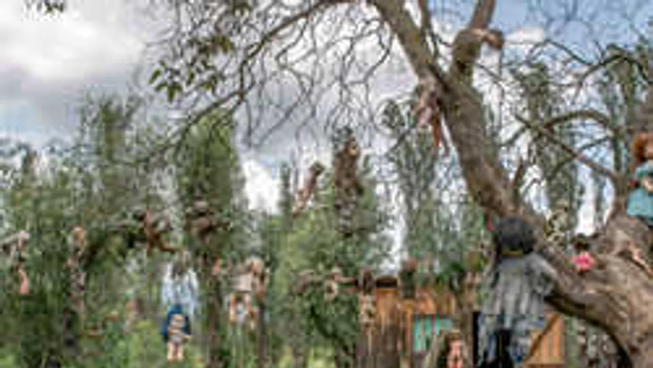 Elképesztő fotók a babák horrorszigetéről