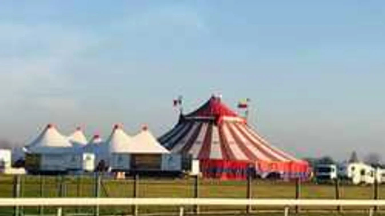 Tönkreteszik a cirkuszt a túlbuzgó állatvédők? Szlovákia már lépett...