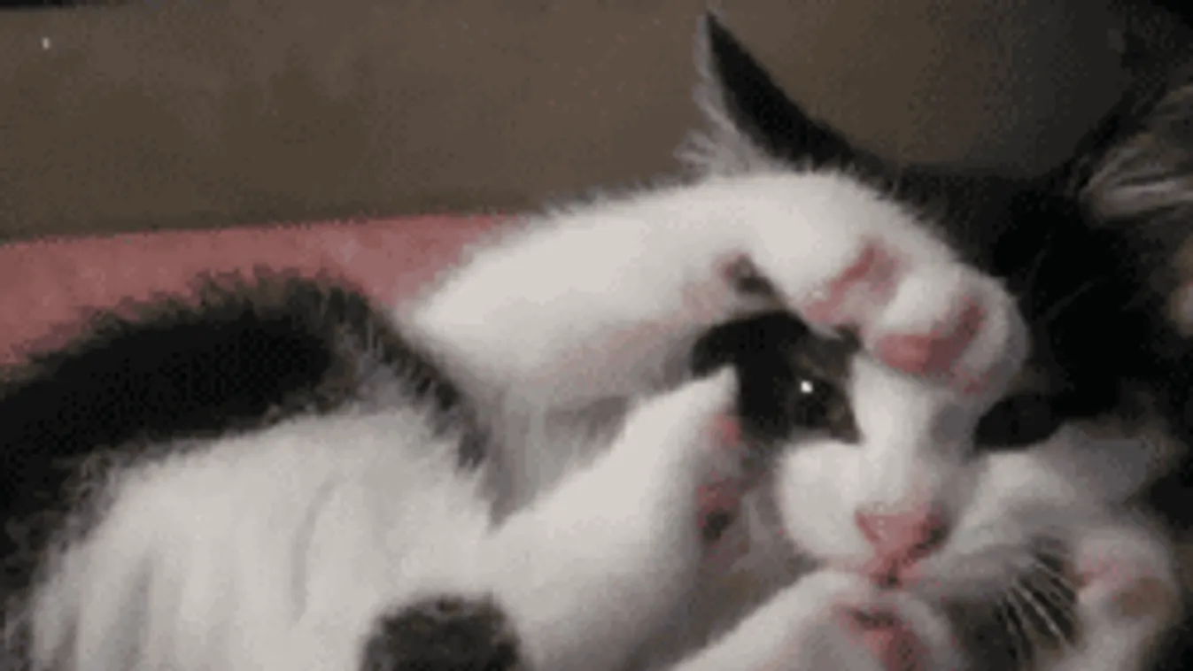 Megjött végre a várva várt eső, de ennek nem fogsz örülni