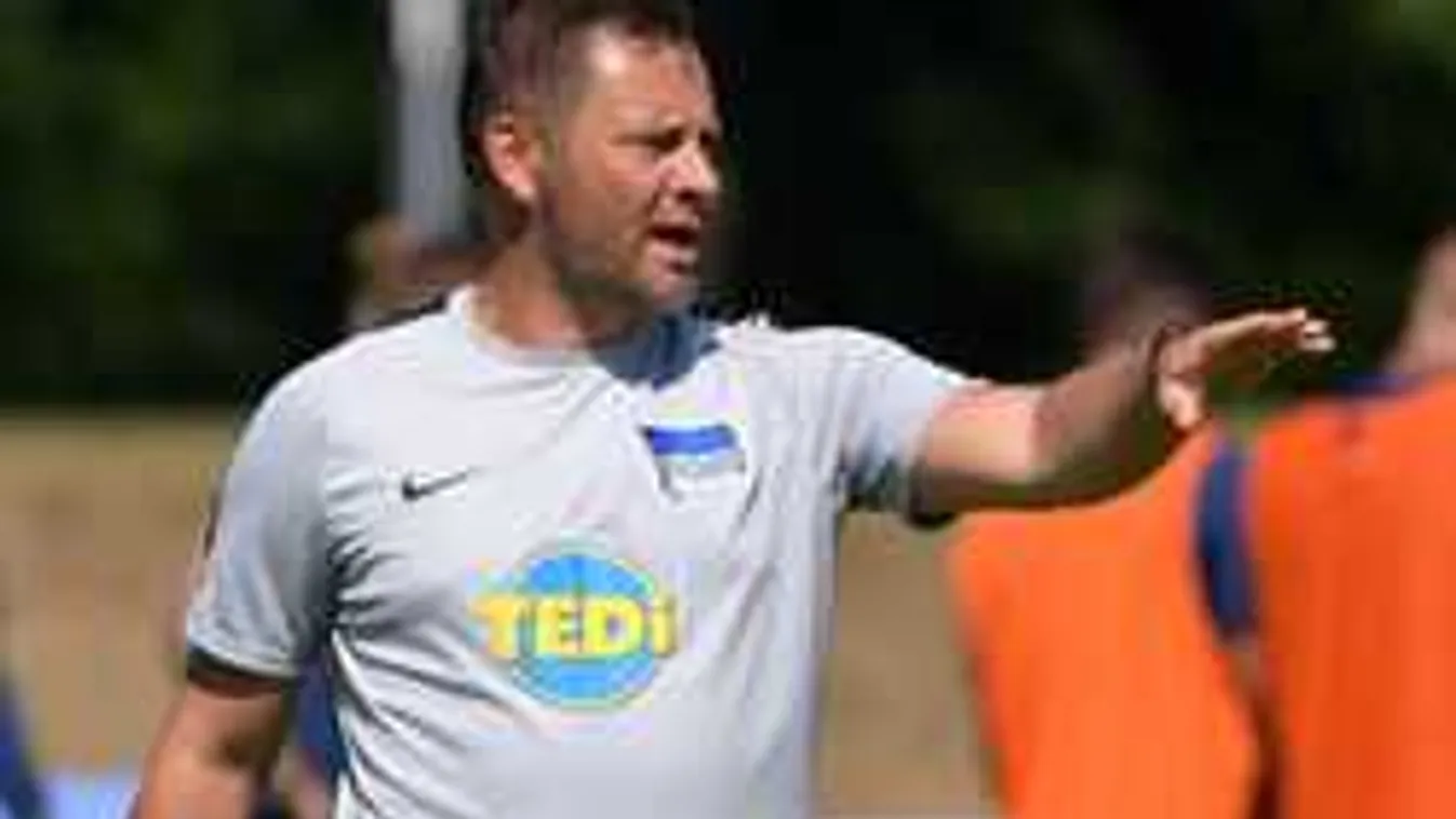 Ha menesztik, Dárdai Pál itt vállalna munkát