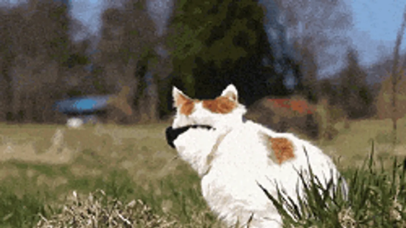 Ragyogó idővel folytatódik a hét, csak ez az apróság rondít bele a melegbe