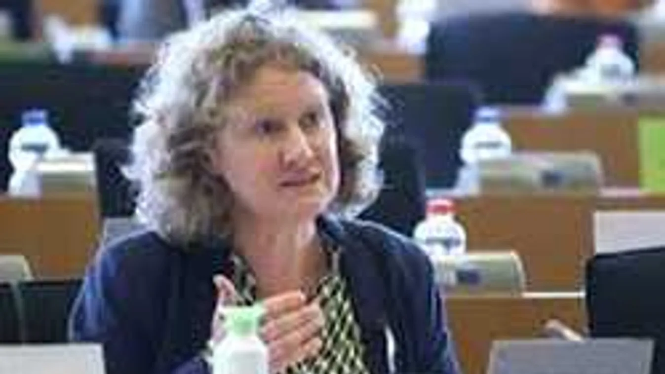 Lopott videóval kampányol Sargentini