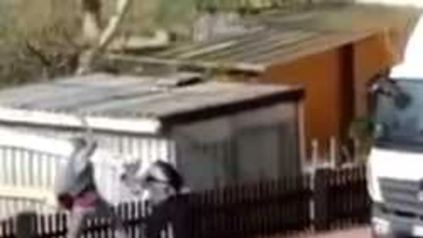 Az utcán verte meg brutálisan német barátnőjét egy afrikai - Videó