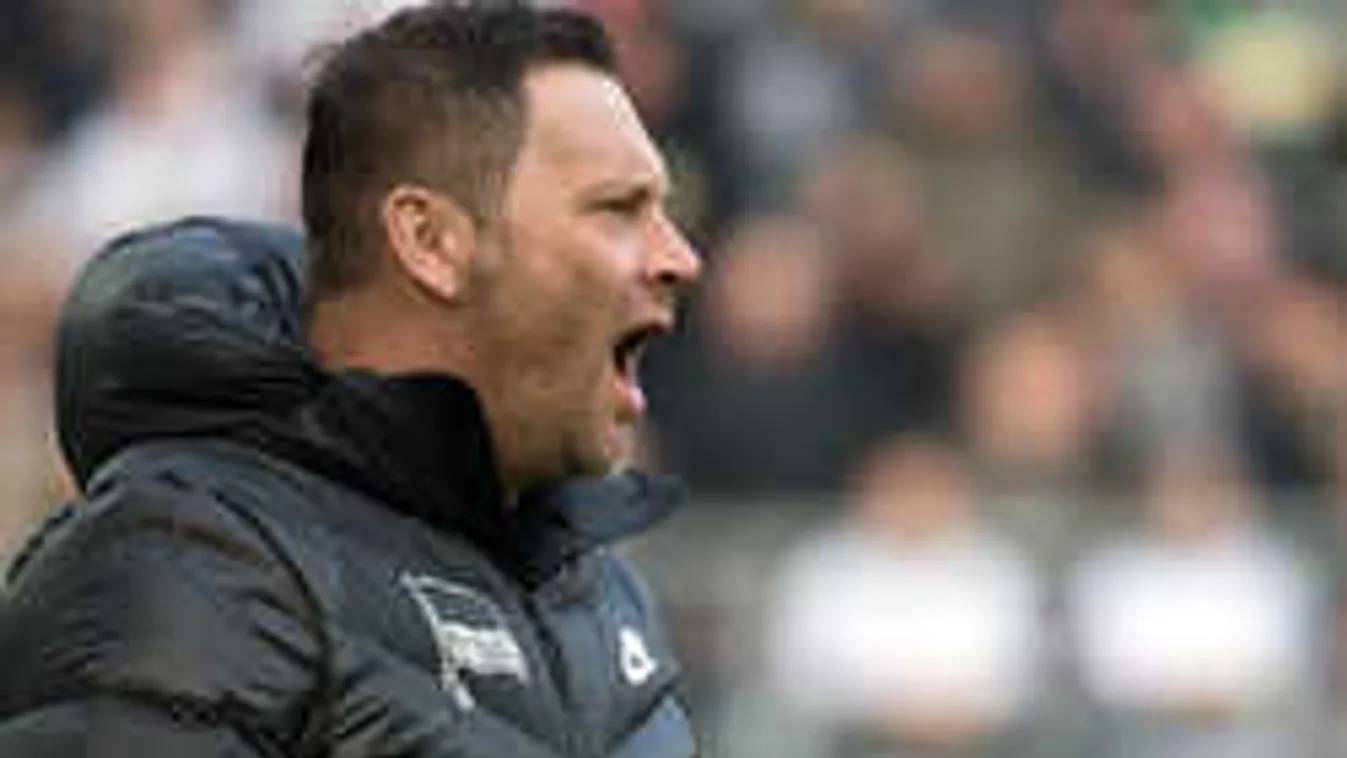 Mélyül a válság, Dárdai Pál egyre nagyobb bajban van