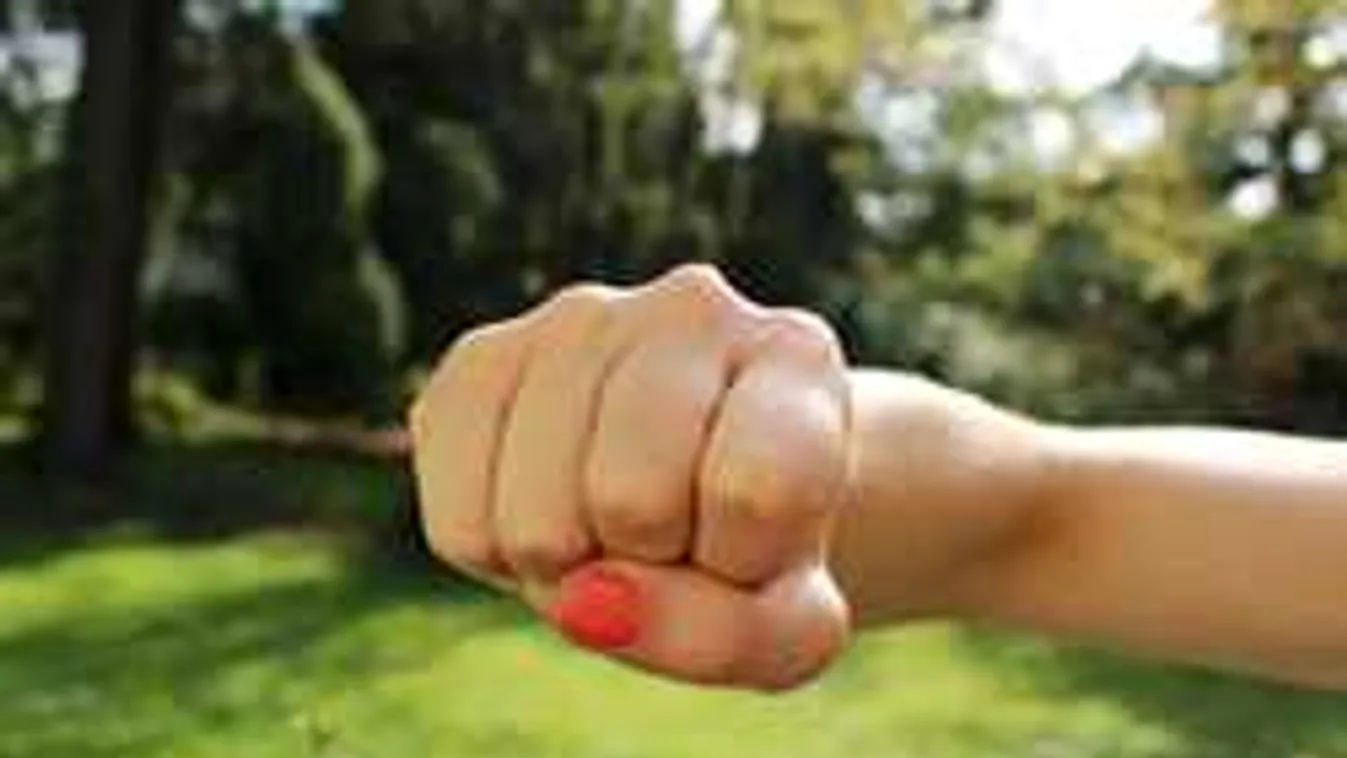 Megszökött az intézetből a diáklányt véresre verő nádudvari tini