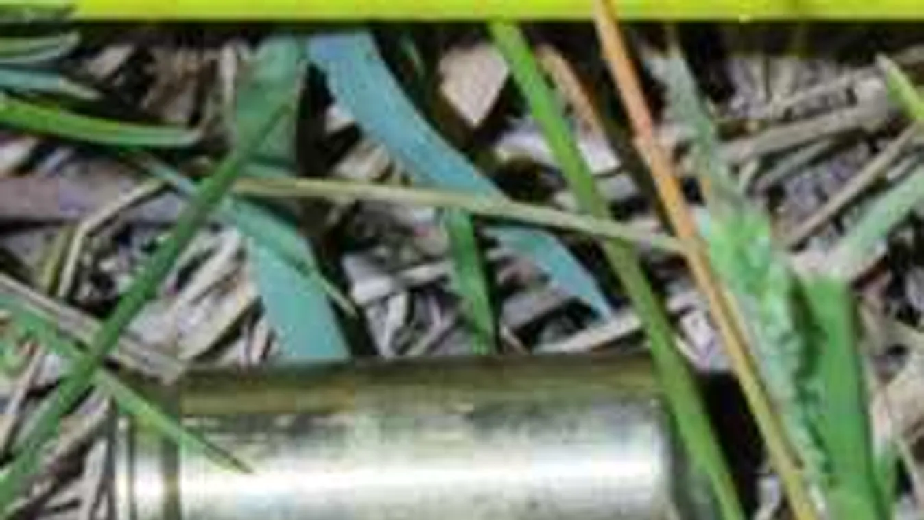 Lövések dördültek este Pest megyében, autóból lőttek az áldozat arcába