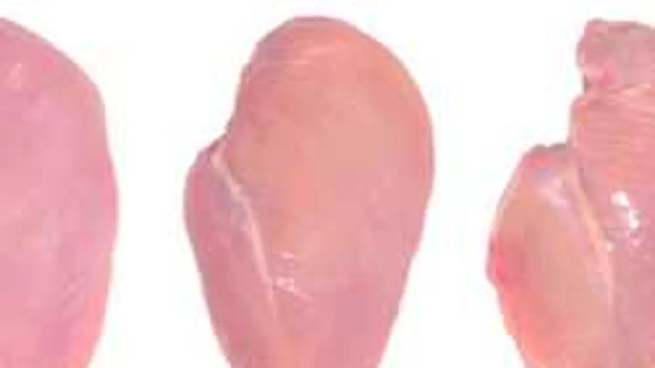 A kamera mindent vett, felnőttfilmes videó lett egy egyszerű főzésből