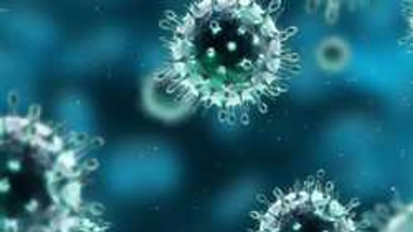 Figyelmeztetést adtak ki a szakértők: pusztító járványok közelítenek