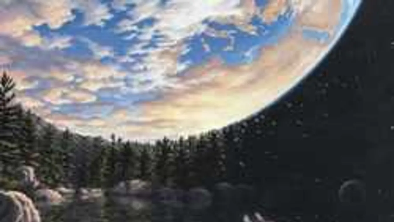 Megdöbbentő ez a személyiségteszt: felfedi, miben vagy zseniális