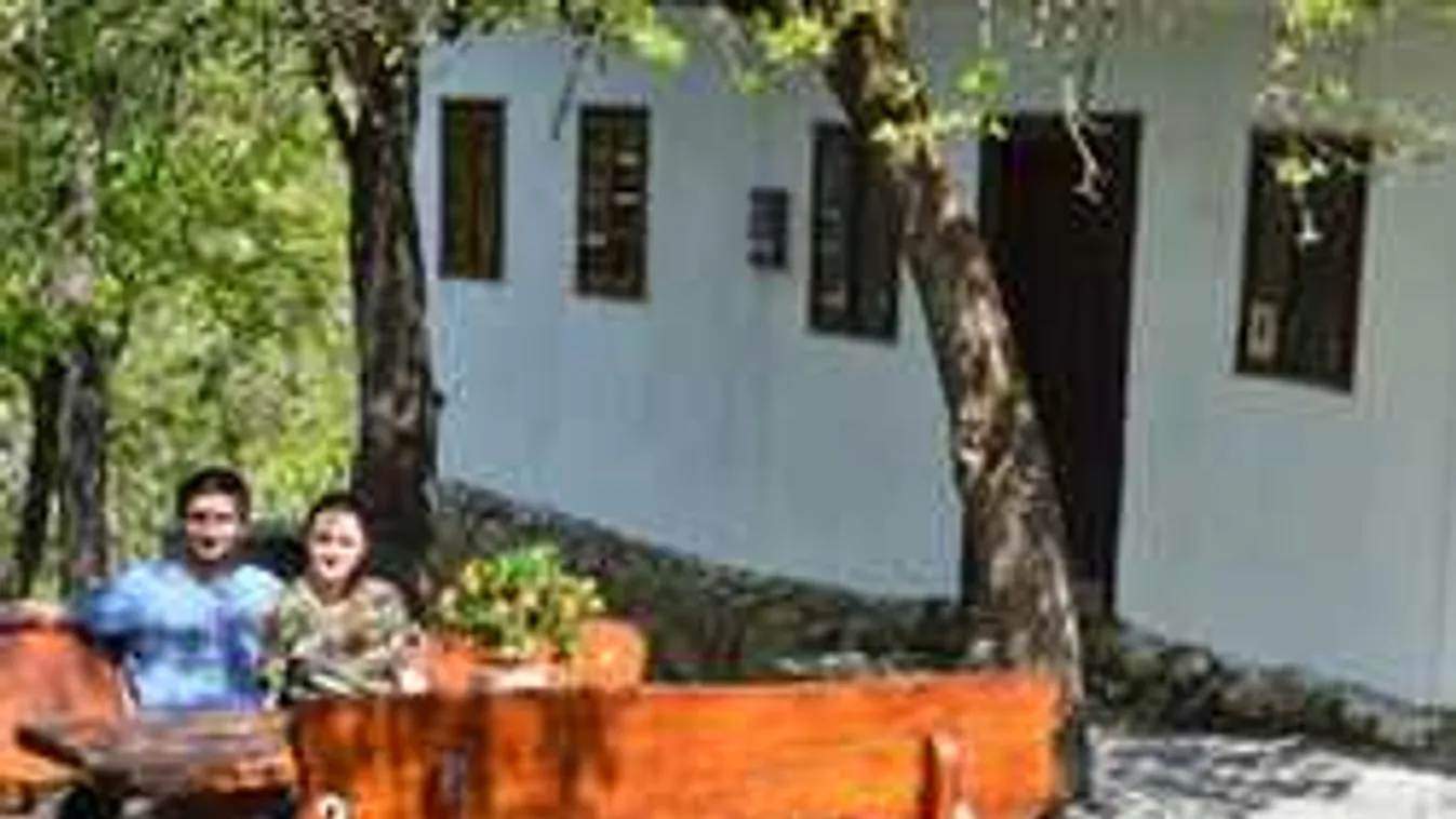 Döbbenet, hogyan döntött a magyar rákkutató