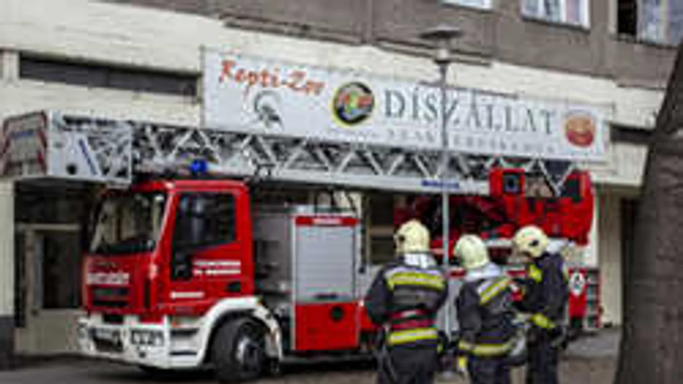 Ráfizetett, hogy kamuból a szomszédjára hívta a tűzoltókat