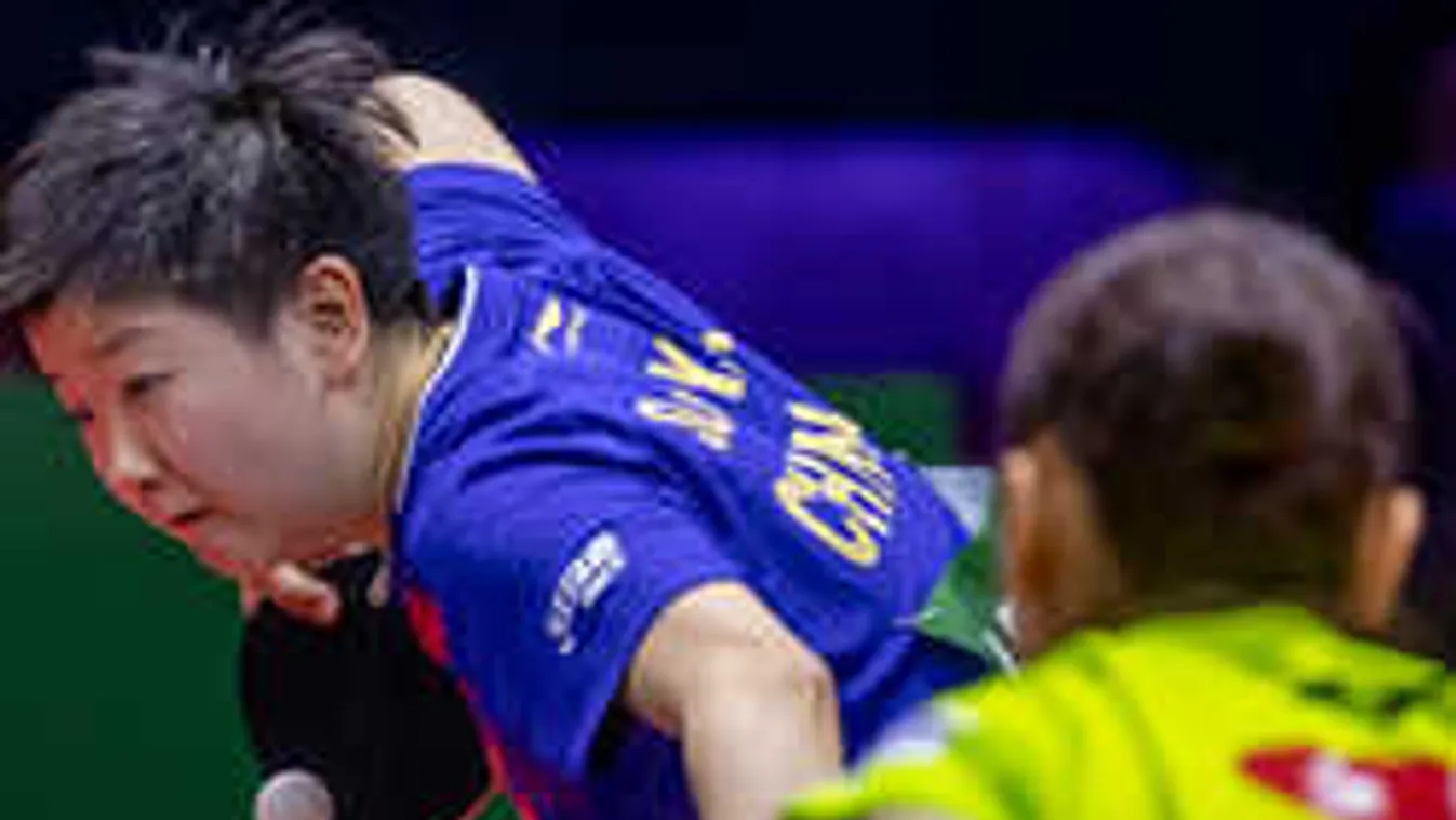 Exkluzív képek a Hungexpóból, összecsaptak a világ legjobbjai