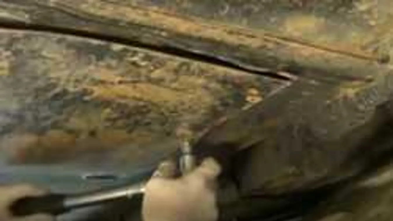 Hihetetlen, mit művelt a szerb férfi a magyar határon