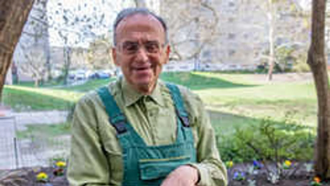 Bemutatjuk a panelsor népszerű kertészét, a 80 éves Lajos bácsit