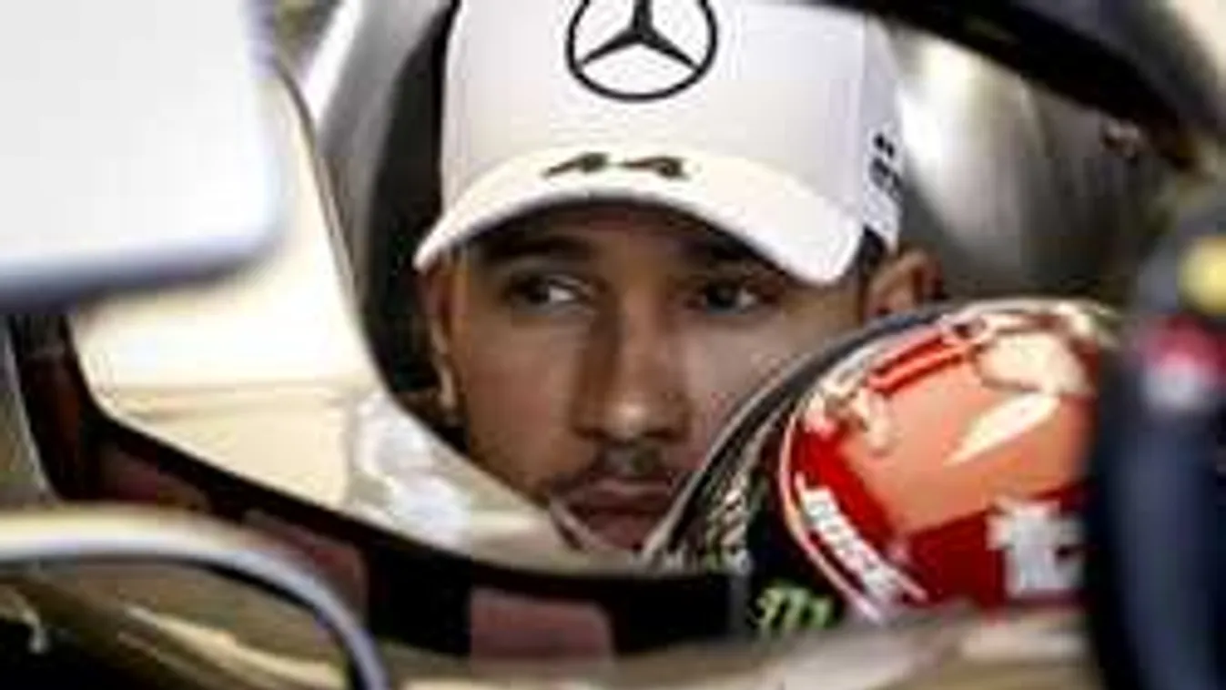 Komoly fájdalmakat okozott egy magyar művész Hamiltonnak