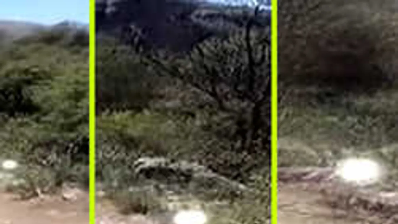 Rettegve menekült a kiránduló család: különös dolog vette üldözőbe őket