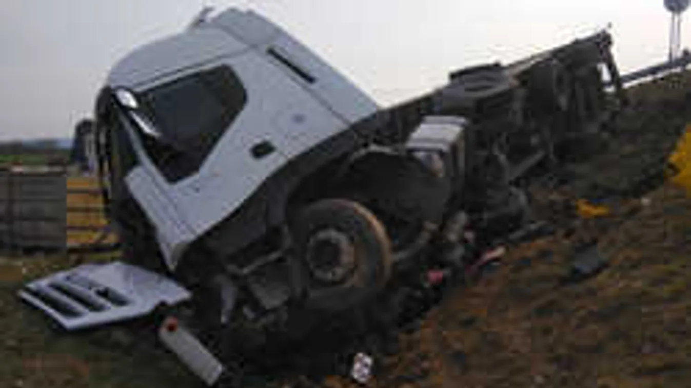 Felborult a csirkeszállító kamion, kiscsirkével volt tele az út