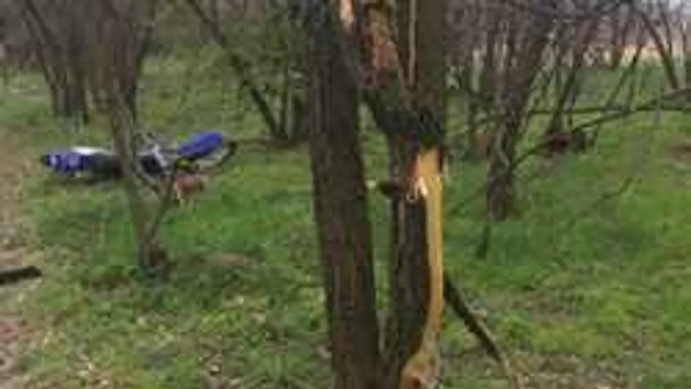 Egy motoros holttestére bukkantak a vácrátóti erdőben