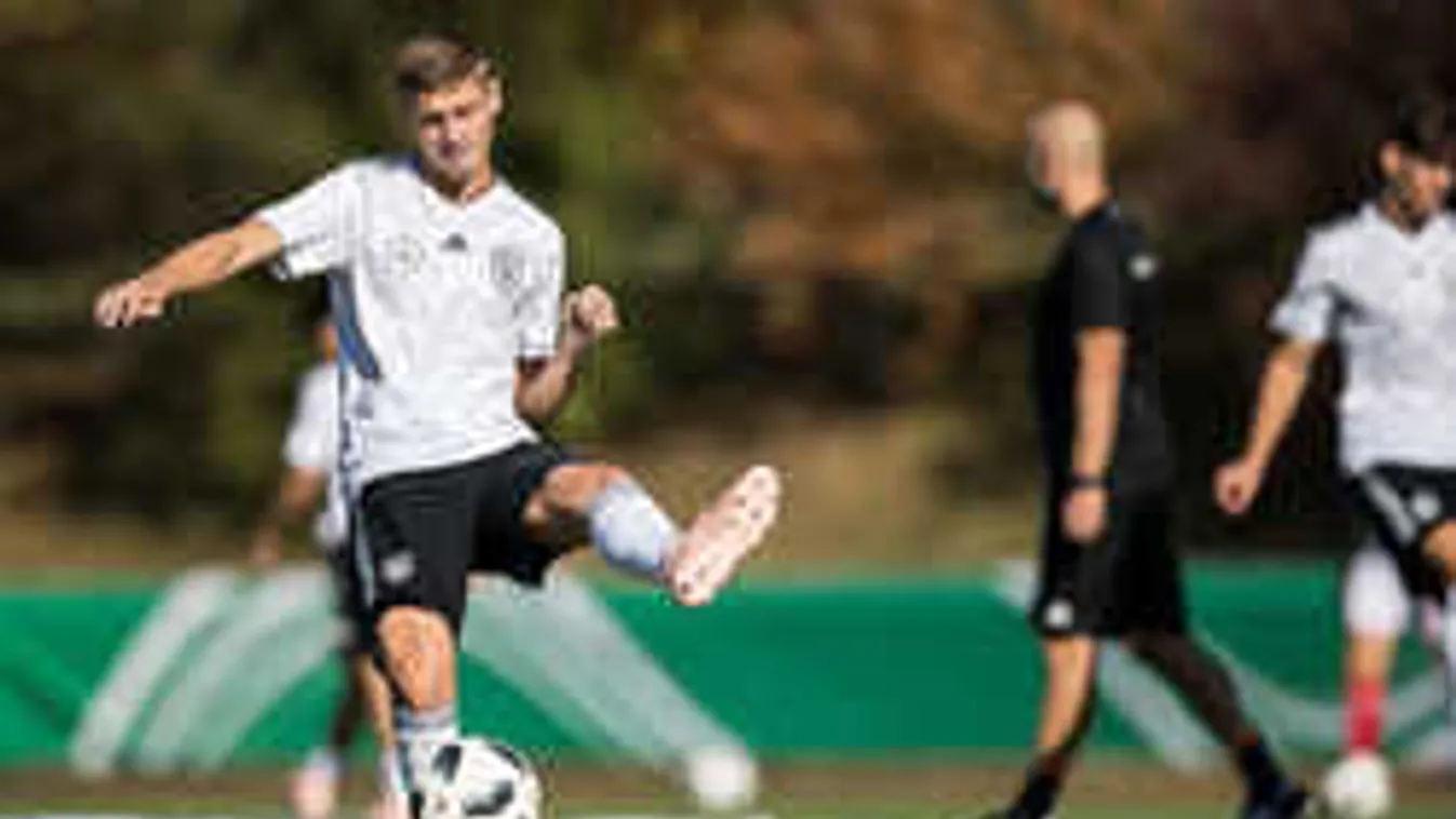 Dárdai már az Eb-re készül